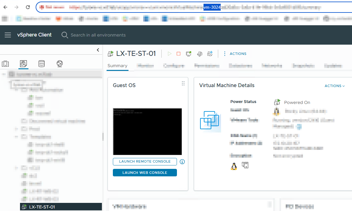 A screenshot of the vSphere Client interface displaying the summary of a virtual machine named 'LX-TE-ST-01'. The left panel shows a tree structure of virtual machines, while the right panel presents details including the guest OS, power status, and options to launch a remote console.